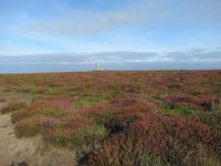 Pointe du Raz - Die Spitze des Raz