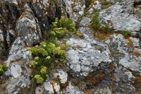 Grandville, Point de Roc  