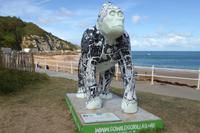 Jersey, www.gowildgorillas.org