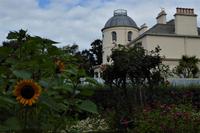 Jersey, der Garten von Mr. Miles 