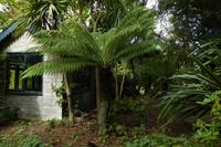 Jersey, der Garten von Mr. Miles 