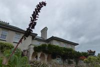 Jersey, der Garten der Susan Lea