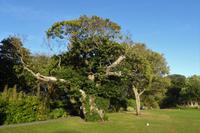 Jersey, Howard Davis Park, St. Helier