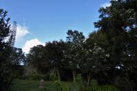 Guernsey, St. Peter Port 