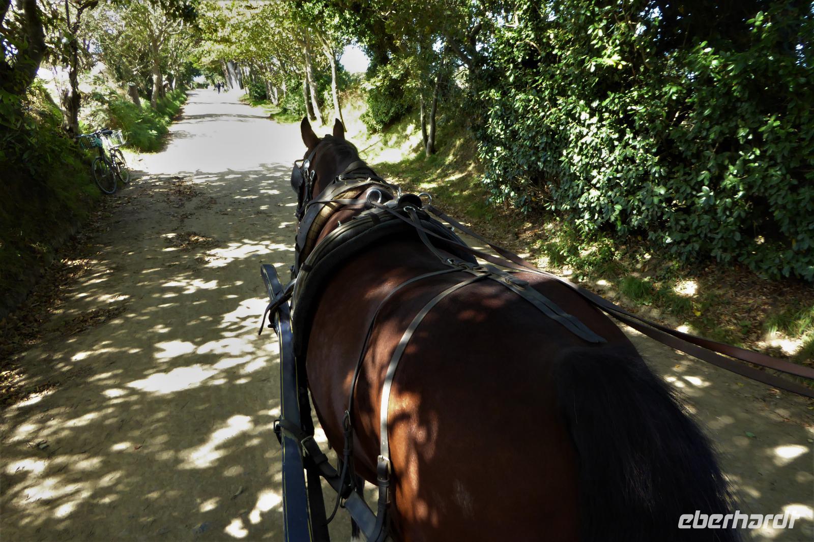 Mit 2 PS über die Insel