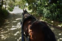 Mit 2 PS über die Insel