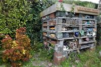 Guernsey, der Garten von Eddi Foxen