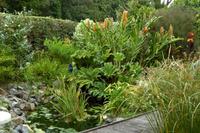 Guernsey, der Garten von Eddi Foxen