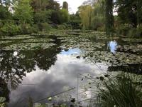 Seerosenteich im Garten von Claude Monet