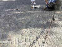 ...nicht alle finden Paris aufregend.