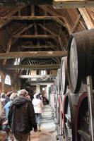 IMG_1197_Kellerlager des Château Breuil in Breuil-en-Auge
