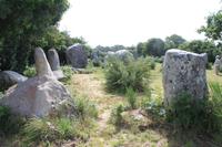 IMG_1237_Steinreihen von Kerzerho bei Erdeven