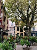 Orange: Stadtrundgang