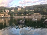 Auf der Saone  bei Lyon