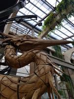 Les Machines de l'île (1)