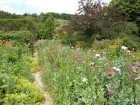 Tag 3 - 4 - Besuch in den Gärten von Monet (6)