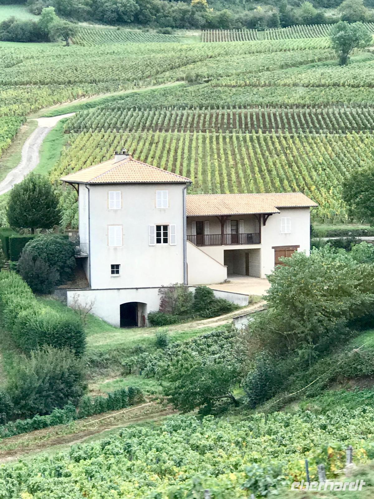 Durch das Gebiet Beaujolais