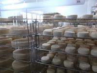 Typische burgundische Käserei in Brochon bei Dijon