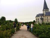 Tag 4 - 2 - Na, wer nascht denn Beeren ... (1)