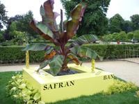 Tag 4 - 7 - Bummel durch den Stadtgarten von Rouen (10)