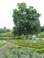 Tag 4 - 7 - Bummel durch den Stadtgarten von Rouen (2)