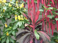 Tag 4 - 7 - Bummel durch den Stadtgarten von Rouen (5)