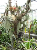 Tag 5 - 3 - Besuch der Hängenden Gärten von Le Havre (3)