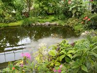 Tag 5 - 3 - Besuch der Hängenden Gärten von Le Havre (4)