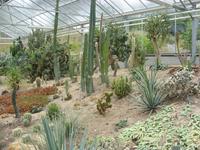 Tag 5 - 3 - Besuch der Hängenden Gärten von Le Havre (6)