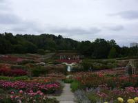 Tag 7 - 6 - Rosengarten im Parc de la Colline des Oiseaux (1)