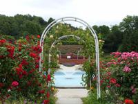 Tag 7 - 6 - Rosengarten im Parc de la Colline des Oiseaux (4)