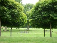Tag 7 - 8 - Dt. Soldatenfriedhof La Combe (1)