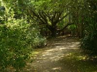 Tag 8 - 2 - Besichtigung des Garten von Vauville (8)