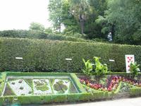 Tag 8 - 3 - Bummel durch den Jardin des Plantes von Coutances (4)