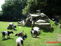 Tag 8 - 5 - Besichtigung des Zoologischen Gartens von Champrépus (1)