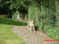 Tag 8 - 5 - Besichtigung des Zoologischen Gartens von Champrépus (3)