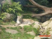 Tag 8 - 5 - Besichtigung des Zoologischen Gartens von Champrépus (4)