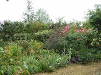 Tag 9 - 3 - Besichtigung des Jardin Francois (2)