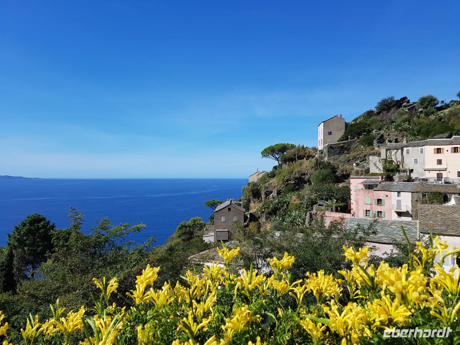 Cap Corse Küstenrundfahrt 