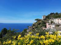Cap Corse Küstenrundfahrt 