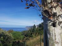 Cap Corse Küstenrundfahrt 