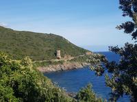 Cap Corse Küstenrundfahrt 