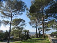 Umgebung der Zitadelle von Saint-Tropez