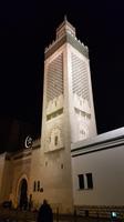Grosse Moschee von Paris