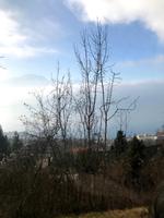 Unterwegs mit dem Golden Panoramic nach Gstaadt