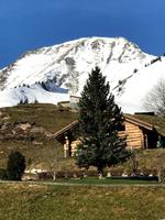 vom Golden Panoramic-Zug aus