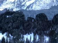 Gstaadt - das Ziel der Zugreise