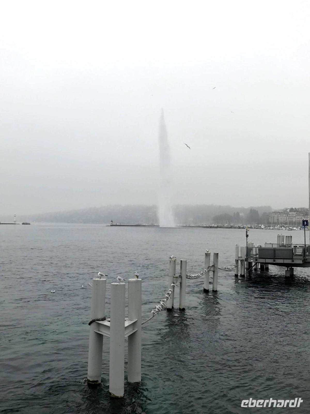 Jet d'Eau - Wahrzeichen Genfs - die 140 m hohe Fontäne