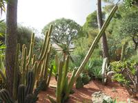 Monaco, Botanischer Garten