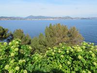 Bucht von St. Tropez